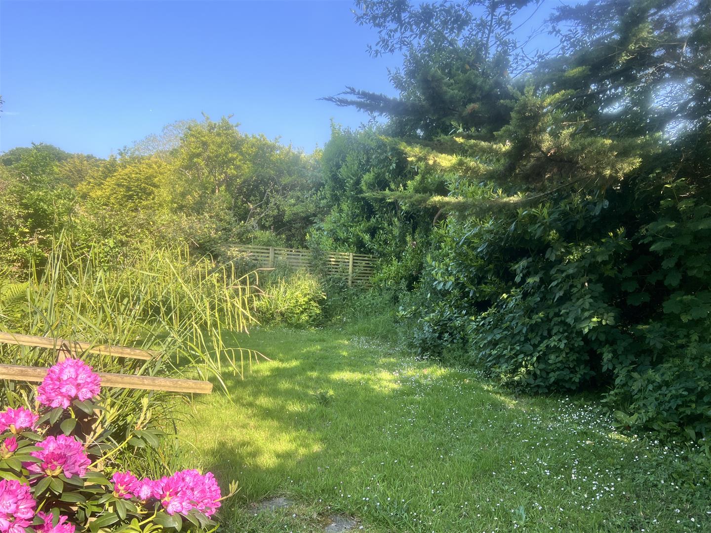 2 bedroom Bungalow in Shanklin for sale Megan Baker